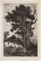 TvB G 2618
<br/>
Bomen bij huisjes
<br/>
<em>Schaepkens, Arnoud (1816-1904)</em>